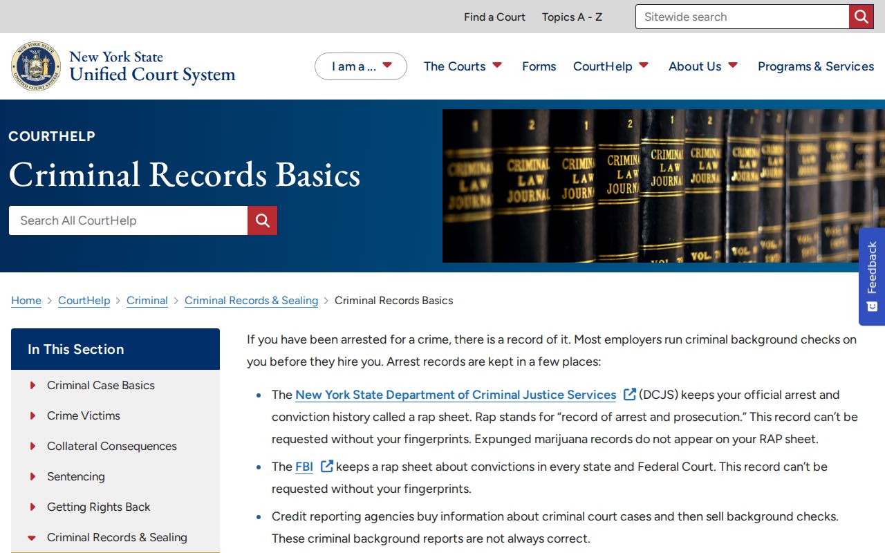 Seneca County criminal court case search basics interface